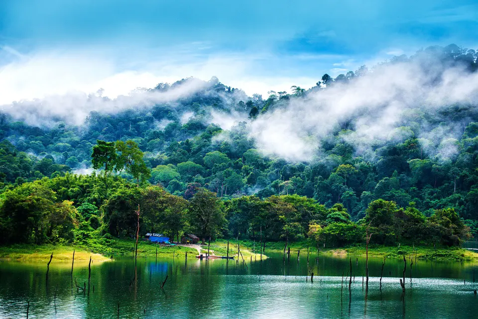 Morning mist lifting off the rainforest above Temenggor Lake in Royal Belum