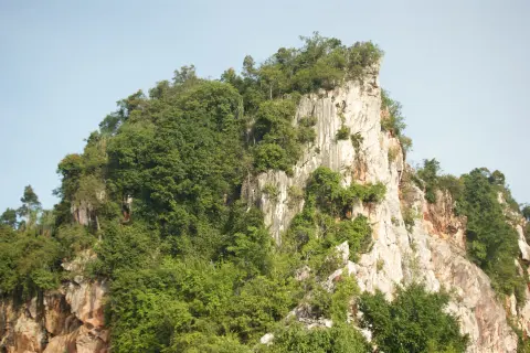 A limestone hill with white cliffs above the jungle near Ipoh