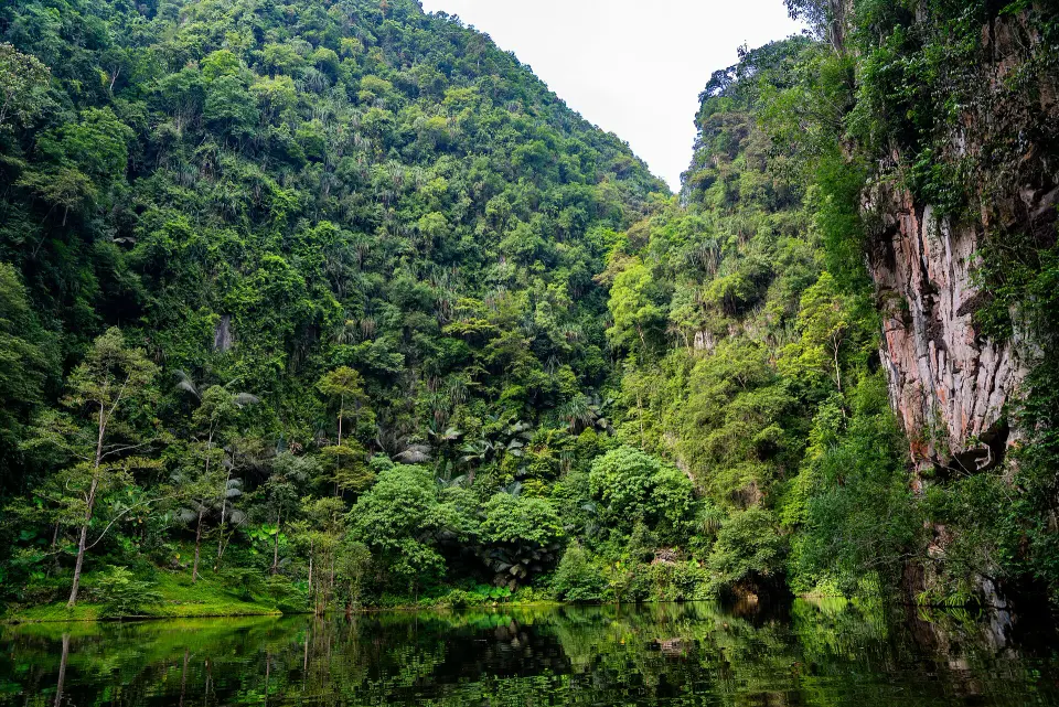 Limestone hills reflected in the still green water of Tasik Cermin